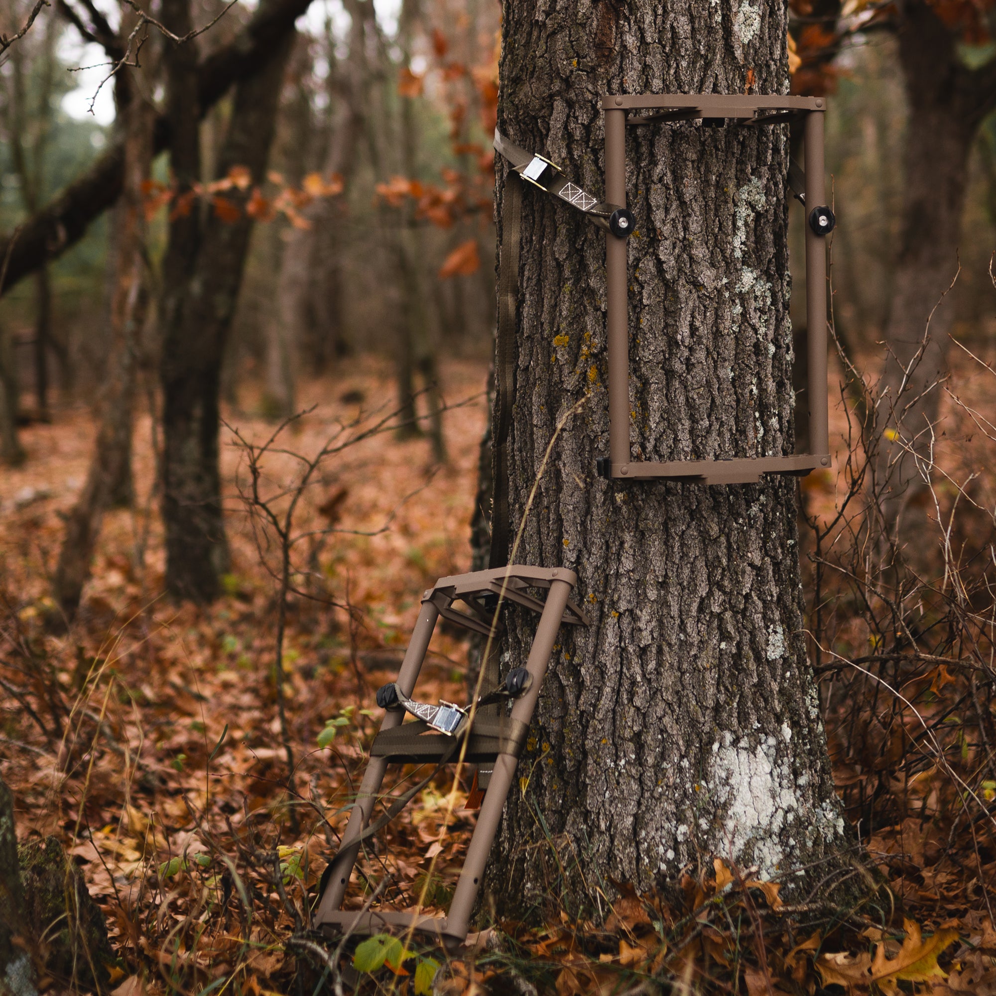 Tree Rail Lite Rail – Nested® Treestand Systems